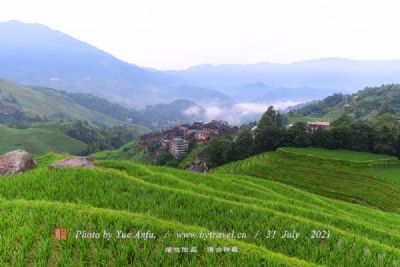 凤堰古梯田