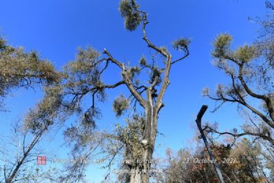 松山森林旅游区