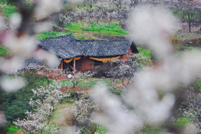 简阳樱桃沟旅游区