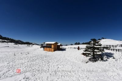 梅里雪山尼农峡谷