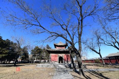 东海观音寺