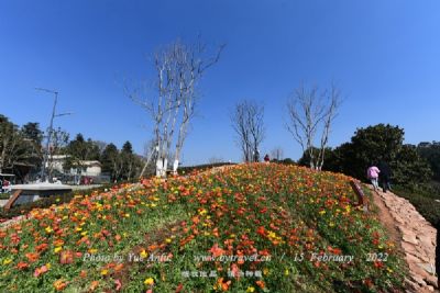 长兴岛郊野公园