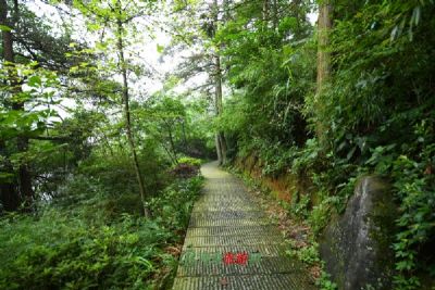 麻线堡址、麻线岭古道