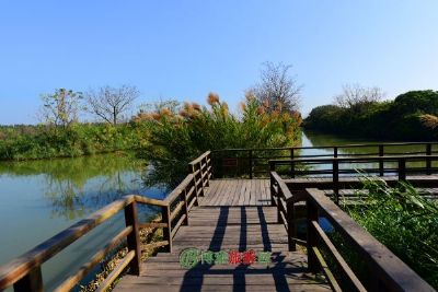 昭苏特克斯河国家湿地公园