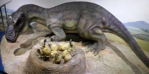 自贡恐龙博物馆 
