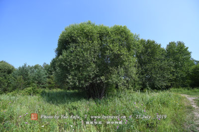 南京古生物标本展览馆