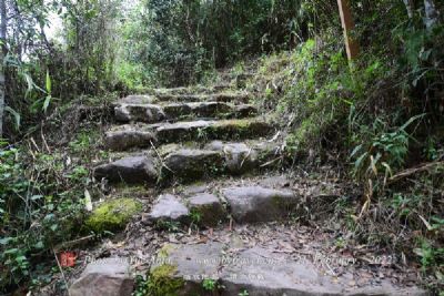 莫干山古道