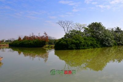 通湖湿地草原旅游区