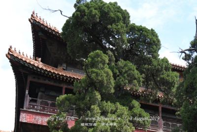 雷神庙万阁楼