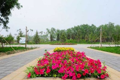 百花郊野公园