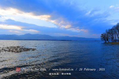 金湖柳树湾湿地公园