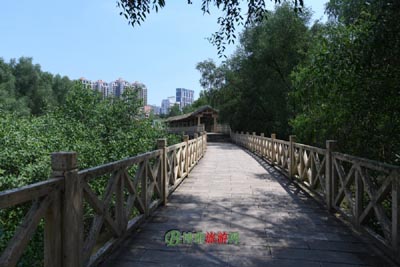 靖远县黄河铁桥