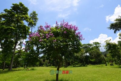 白鹤景区