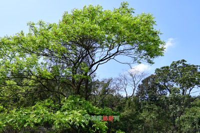 上海市少年儿童浏河活动营地