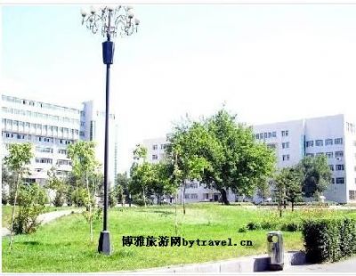 新疆大学