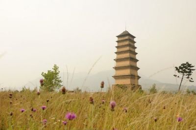 仙游寺法王塔