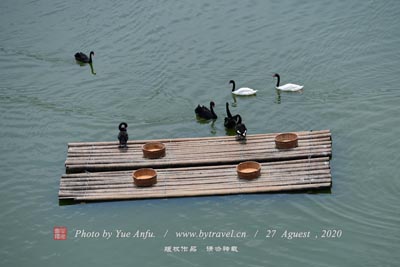 济阳桥
