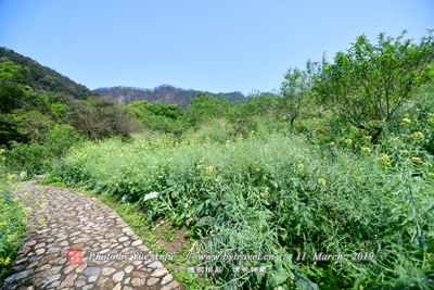 险峰井