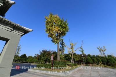 八卦公园旅游景区