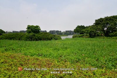 万福寺遗址（名僧塔林）