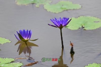 化觉喀斯特自然生态旅游区