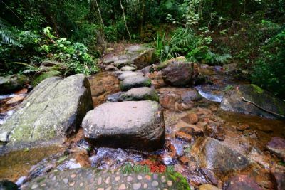 江阴绮山森林公园