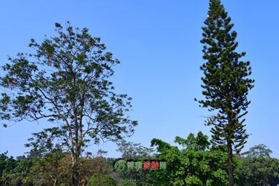 陆家嘴街道“长城家园”展厅