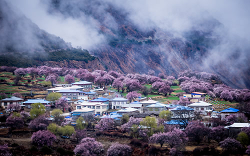 林芝桃花沟