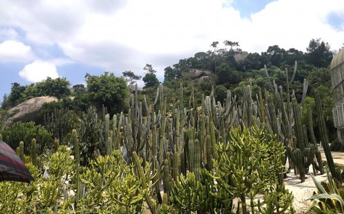 厦门园林植物园