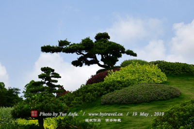 女埠双塔