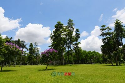 黑湾河风景区