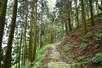 茶马古道-新添站