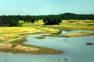 宿迁嶂山森林公园 