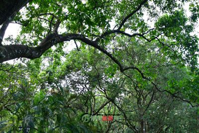 五马坪监狱遗址