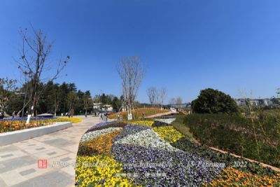 阿勒泰沙里福汗公园