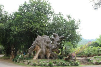 勐巴娜西大花园