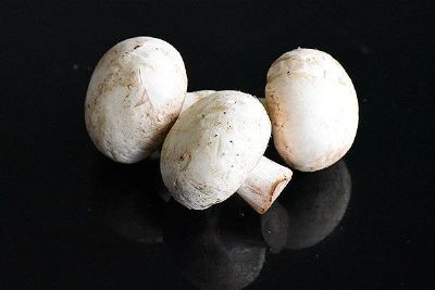 大邑蘑菇