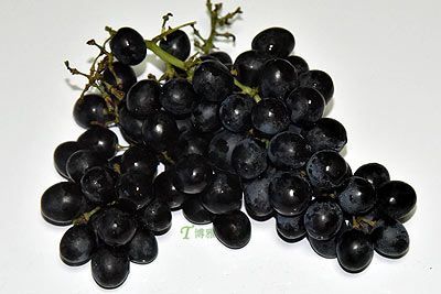 京秀葡萄