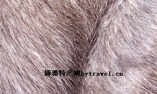 定边皮毛