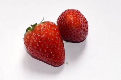 北京特产水果昌平草莓