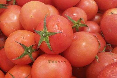 临淄西红柿