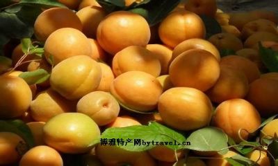 北京水果特产海淀玉巴达杏