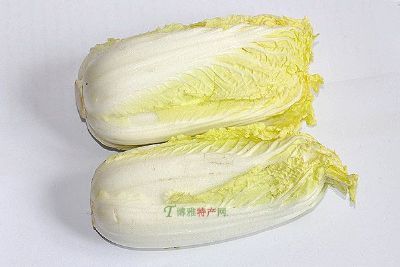 获嘉大白菜