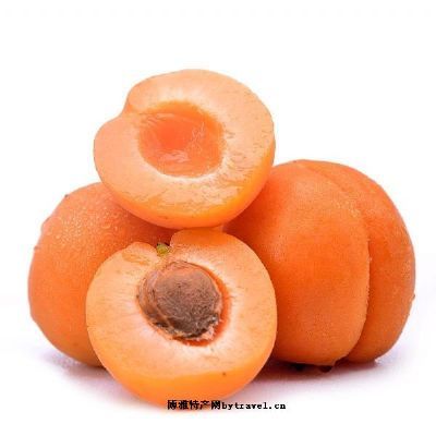 香城黄杏