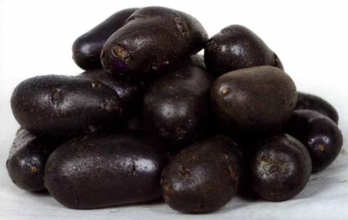 巴塘黑美人土豆