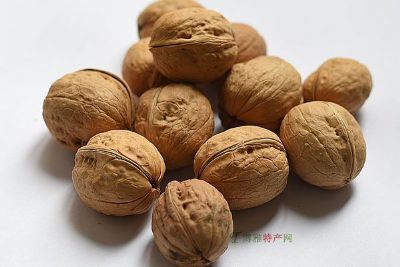 三台薄壳核桃