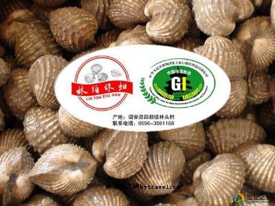 林头珠蚶