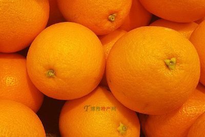 姬堂暗柳甜橙