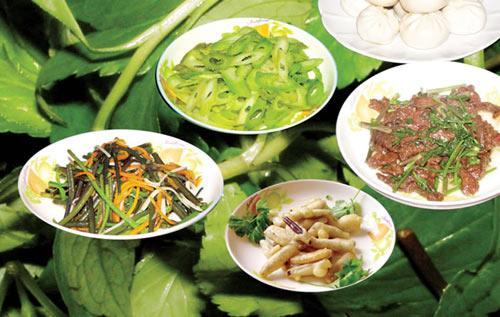 仙岛湖天然野菜