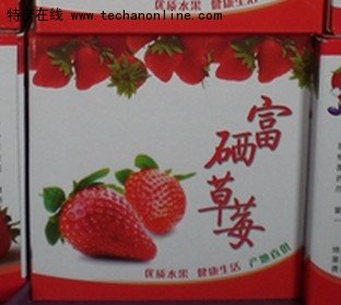 姜格庄草莓